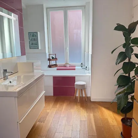 Maison Lilloise Style Loft, 2 Appartement Lille